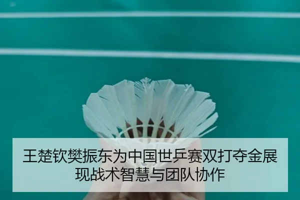wang-chu-qin-fan-zhen-dong-wei-zhong-guo-shi-ping-sai-shuang-da-duo-jin-zhan-xian-zhan-shu-zhi-hui-yu-tuan-dui-xie-zuo-2-660.jpg