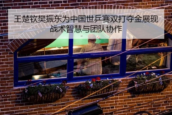 王楚钦樊振东为中国世乒赛双打夺金展现战术智慧与团队协作